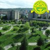 festaprimav2012_11
